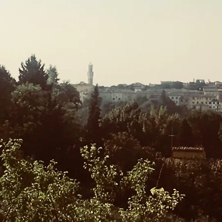 Casa Oliviera * Sienne
